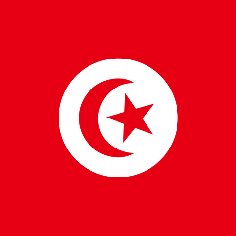 Tunisia – Tunisia 10GB 30Days eSIM visual